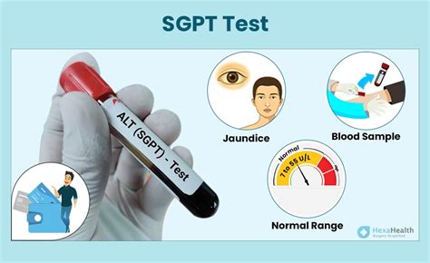 SGPT Test – Normal & High Ranges, Uses, Results, Causes.